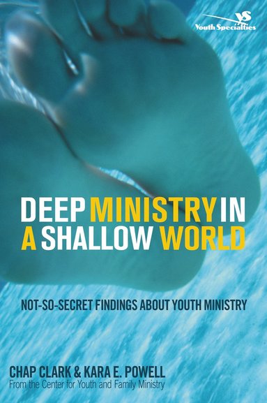 bokomslag Deep Ministry in a Shallow World