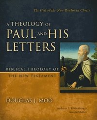 bokomslag A Theology of Paul and His Letters