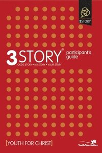 bokomslag 3Story Participant's Guide