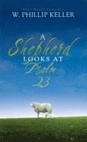 Shepherd Looks at Psalm 23