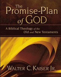 bokomslag The Promise-Plan of God