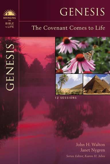 John H. Walton, Janet Nygren, Karen H. Jobes - Genesis, Häftad