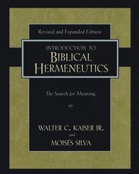 bokomslag Introduction to Biblical Hermeneutics