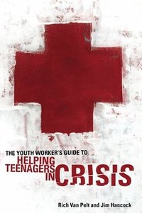 bokomslag The Youth Worker's Guide to Helping Teenagers in Crisis