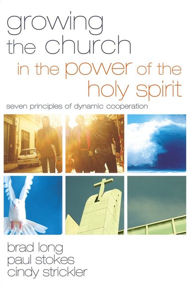 bokomslag Growing the Church in the Power of the Holy Spirit