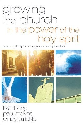 Brad Long, Paul K. Stokes, Cindy Strickler, Paul Stokes - Growing the Church in the Power of the Holy Spirit, Häftad