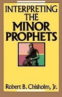 bokomslag Interpreting the Minor Prophets