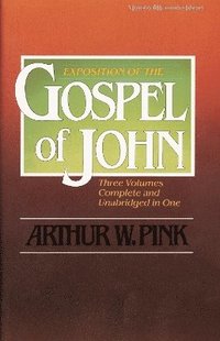 bokomslag Exposition of the Gospel of John, One-Volume Edition