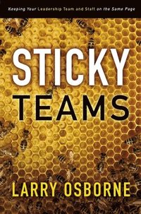 bokomslag Sticky Teams