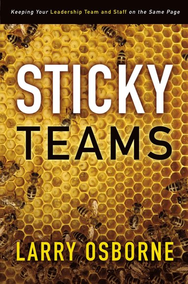 bokomslag Sticky Teams