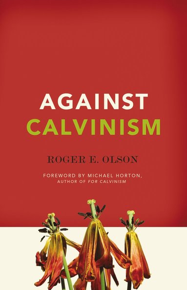 bokomslag Against Calvinism