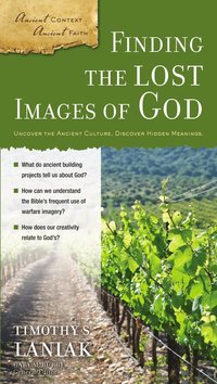 bokomslag Finding the Lost Images of God