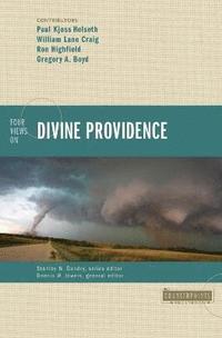 bokomslag Four Views on Divine Providence