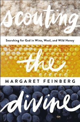 Margaret Feinberg - Scouting the Divine, Häftad
