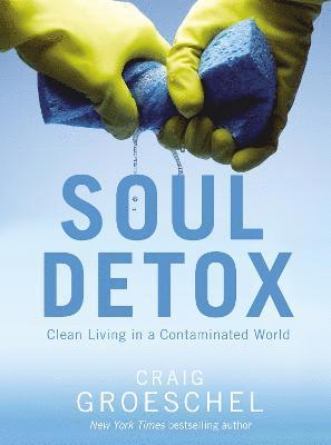 bokomslag Soul Detox