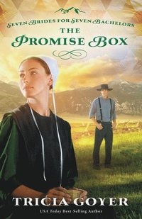 bokomslag The Promise Box