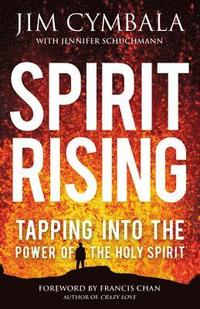 bokomslag Spirit Rising