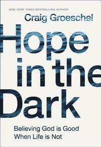 bokomslag Hope in the Dark