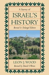 bokomslag A Survey of Israel's History