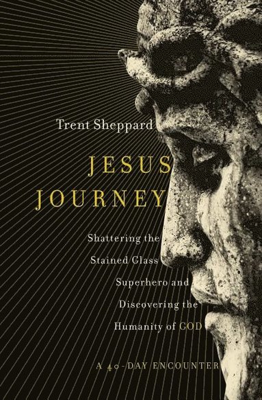 bokomslag Jesus Journey
