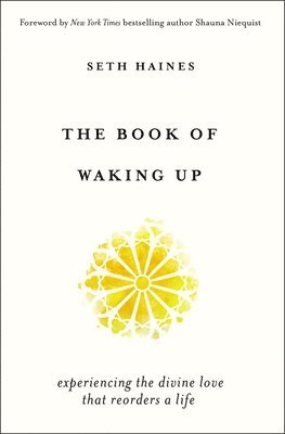 bokomslag The Book of Waking Up