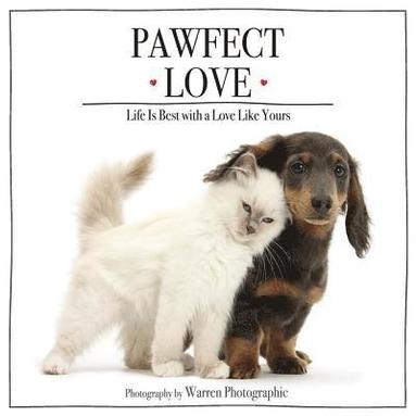 bokomslag Pawfect Love