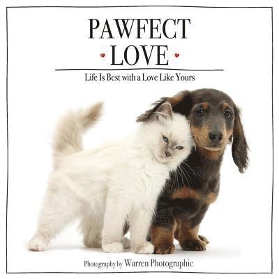 Pawfect Love 1