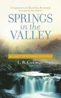 bokomslag Springs in the Valley