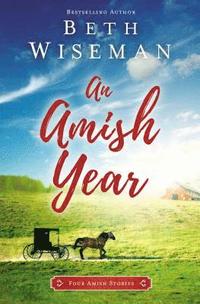 bokomslag An Amish Year