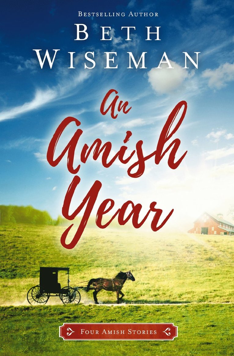 Beth Wiseman - Amish Year, Häftad
