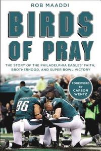 bokomslag Birds of Pray