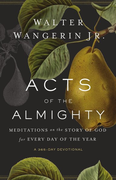 Walter Wangerin Jr. - Acts of the Almighty, Häftad