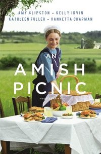 bokomslag An Amish Picnic