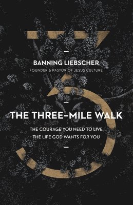 bokomslag Three-Mile Walk