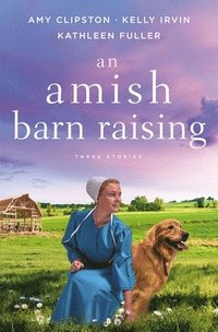 bokomslag An Amish Barn Raising