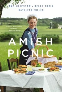 bokomslag An Amish Picnic