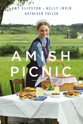 bokomslag An Amish Picnic