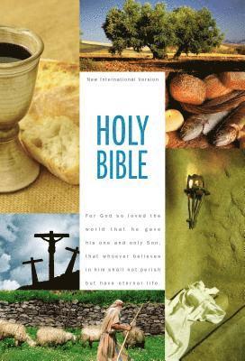 bokomslag Textbook Bible-NIV