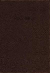 bokomslag Foundation Study Bible-NIV