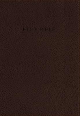 Foundation Study Bible-NIV