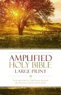 bokomslag Amplified Holy Bible, Large Print, Hardcover