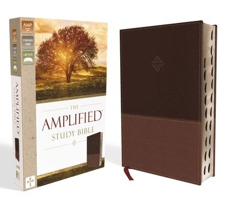 The Amplified Study Bible, Leathersoft, Brown, Thumb Indexed 1