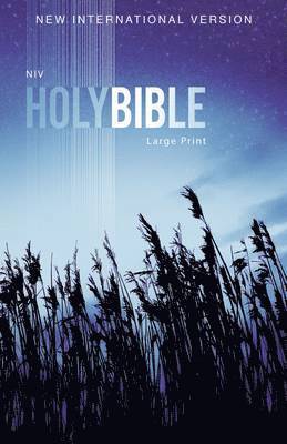 bokomslag Outreach Bible-NIV