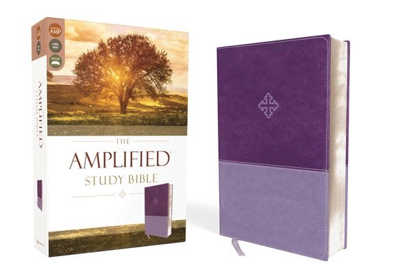 The Amplified Study Bible, Leathersoft, Purple 1