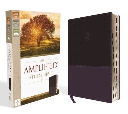 The Amplified Study Bible, Leathersoft, Purple, Thumb Indexed 1