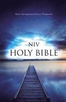bokomslag Value Outreach Bible-NIV