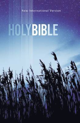 Value Outreach Bible-NIV 1
