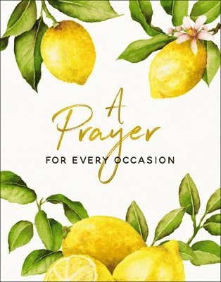 bokomslag Prayer for Every Occasion