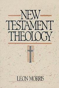 bokomslag New Testament Theology