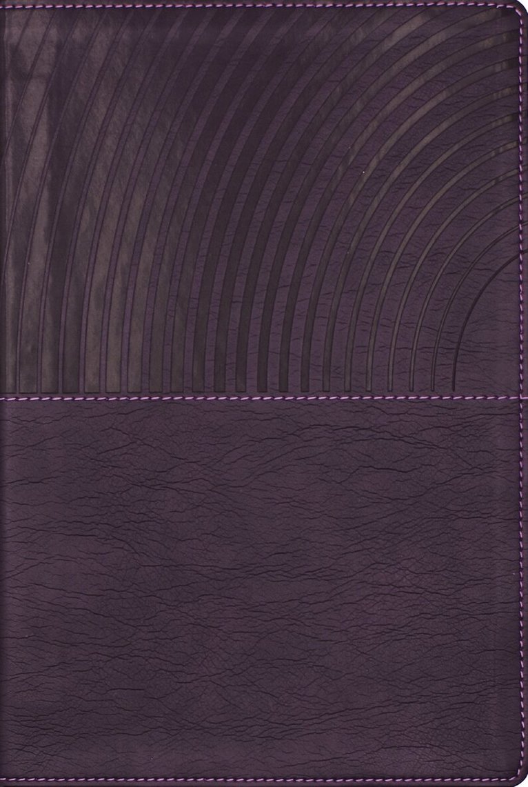 Zondervan Publishing - NKJV, Clear Focus Bible, Leathersoft, Purple, Inbunden. Tillgänglighet: Kommande